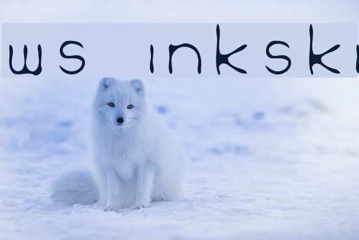 WS Inkski Font examples