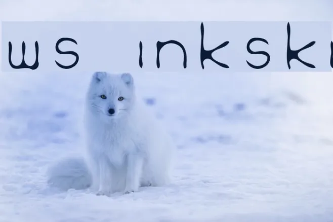 WS Inkski Example 1