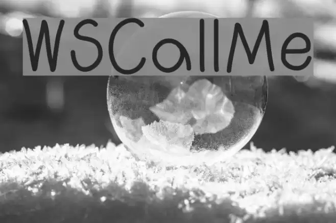 WSCallMe Font examples