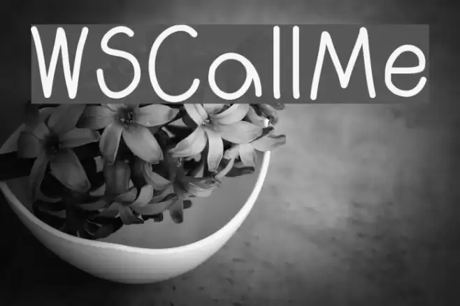 WSCallMe Font examples