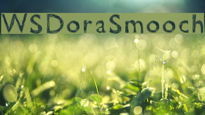 WSDoraSmooch Font examples