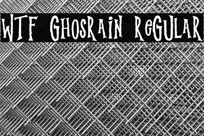 WTF Ghosrain Regular Example 1