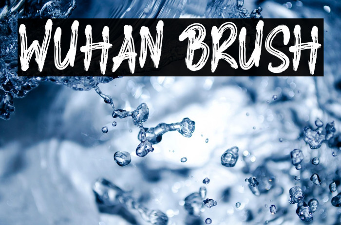 WUHAN BRUSH Example 1