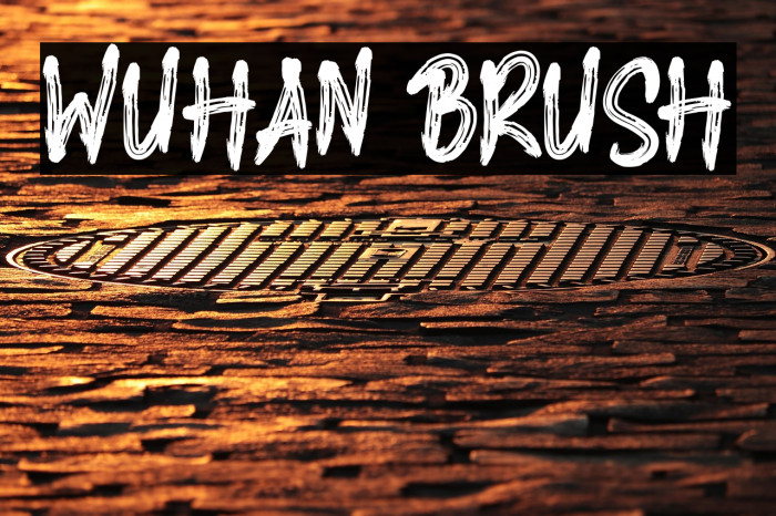 WUHAN BRUSH Example 2