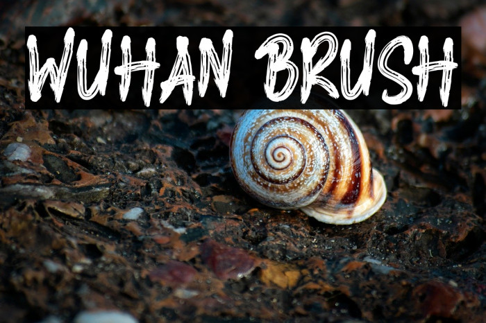 WUHAN BRUSH Example 3