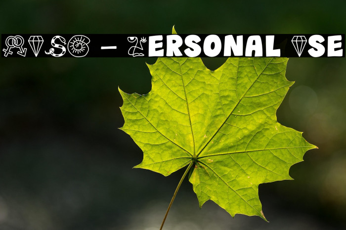 WUSH - Personal Use Example 1