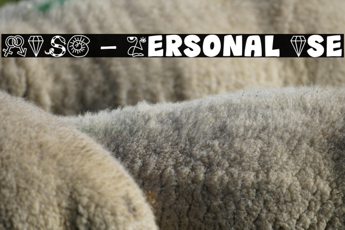 WUSH - Personal Use Example 3