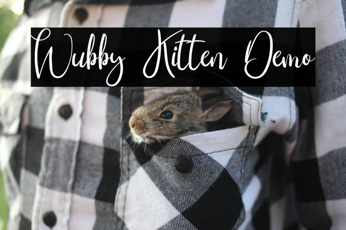 Wubby Kitten Demo Example 2