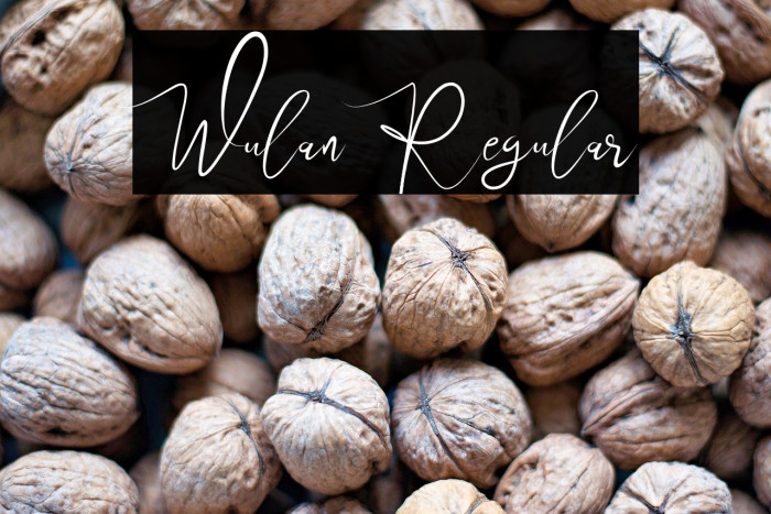 Wulan Regular Example 1