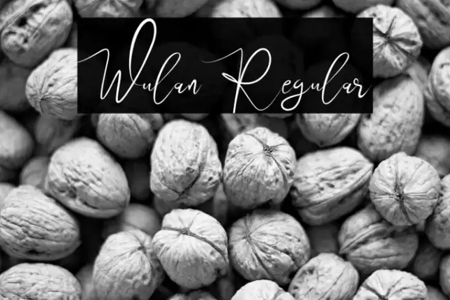 Wulan Regular Font examples