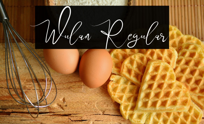 Wulan Regular Example 2