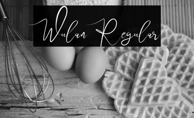 Wulan Regular Font examples