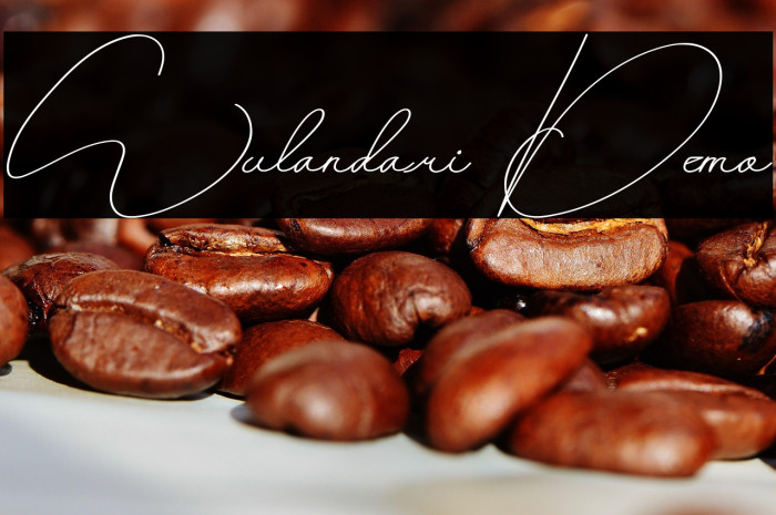 Wulandari Demo Example 2