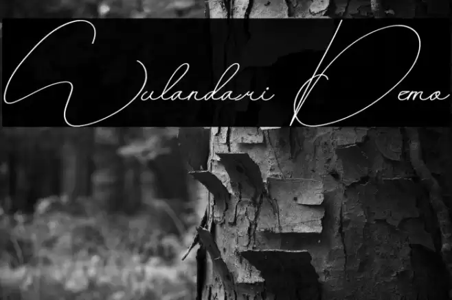 Wulandari Demo Schriftart examples