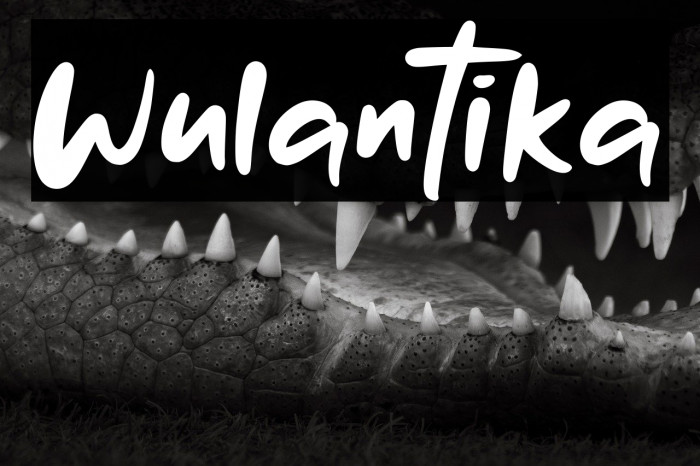 Wulantika Example 1