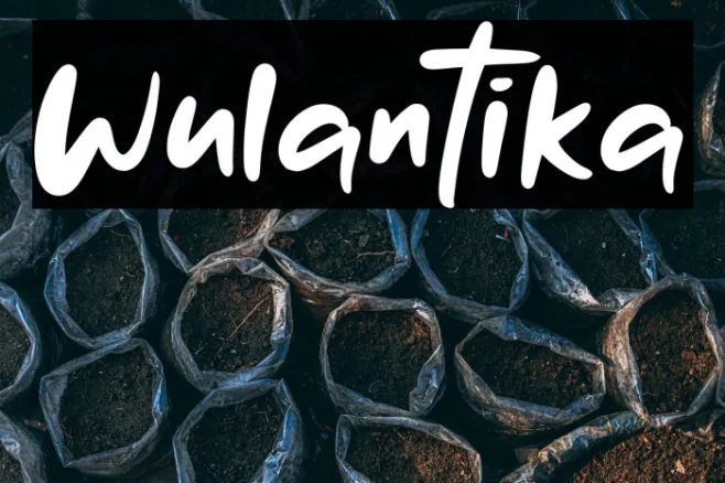 Wulantika Example 3