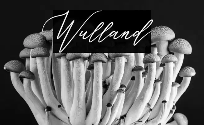 Wulland Font examples