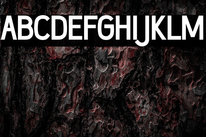 Wumbology Bold Example 3