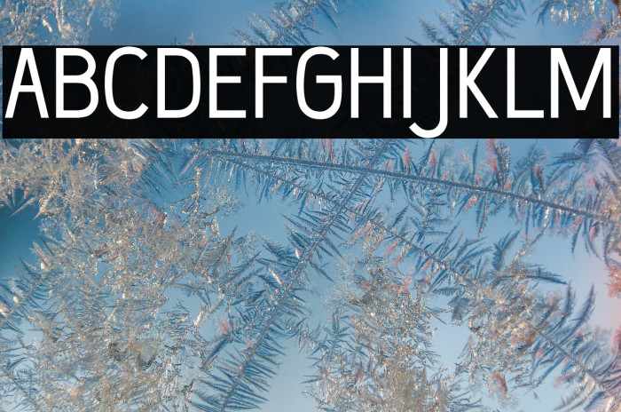 Wumbology-Book Example 2