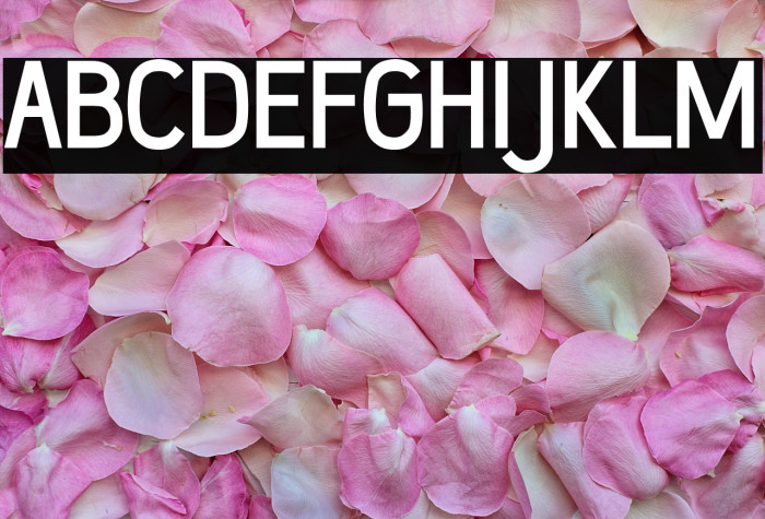 Wumbology-Medium Example 3