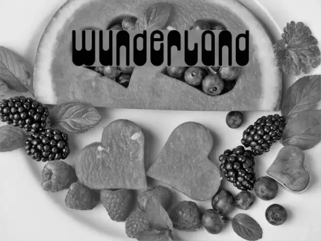 Wunderland Polices examples