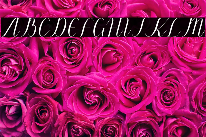 Wunderlust Example 3