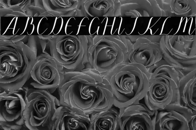 Wunderlust Font examples