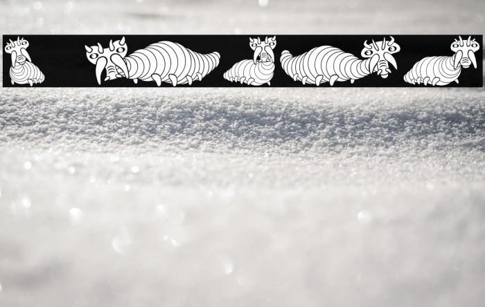 Wurm Regular Example 2