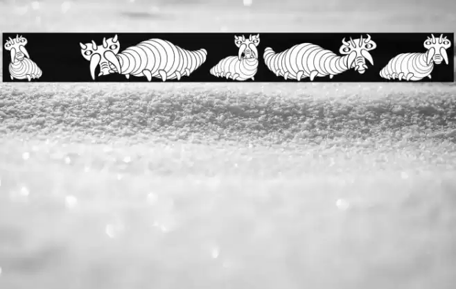 Wurm Regular Font examples