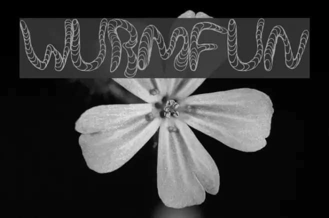 WurmFun Font examples