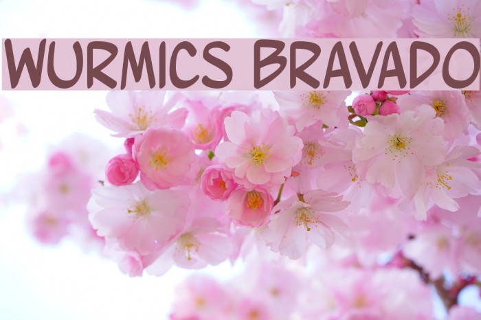Wurmics Bravado Font examples