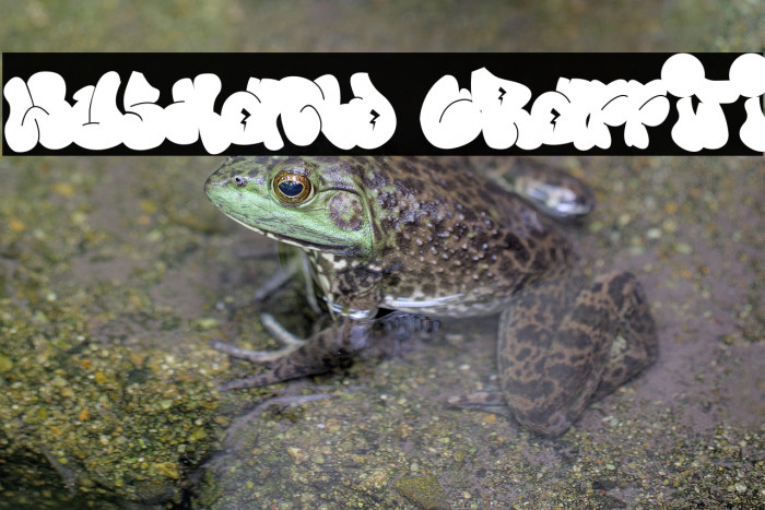 Wushand Graffiti Example 3