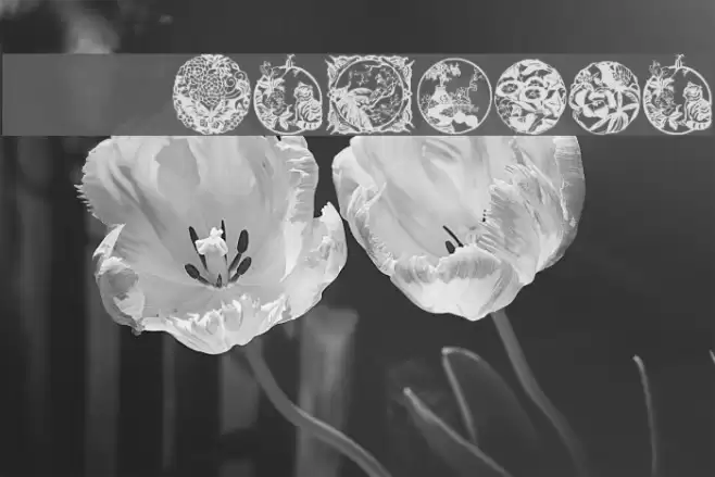 WWElegance Font examples