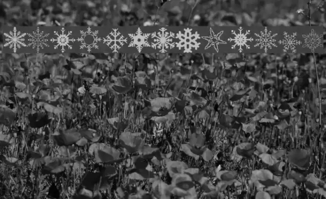 WWFlakes Font examples