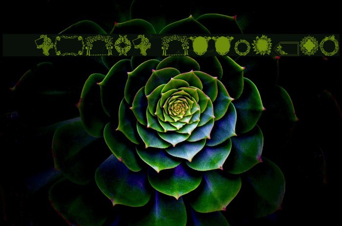 WWFloralGreetings Font examples