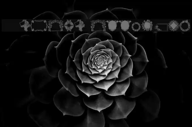 WWFloralGreetings Font examples