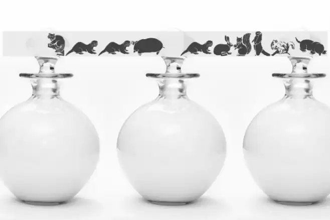 WWFurryFriends Font examples