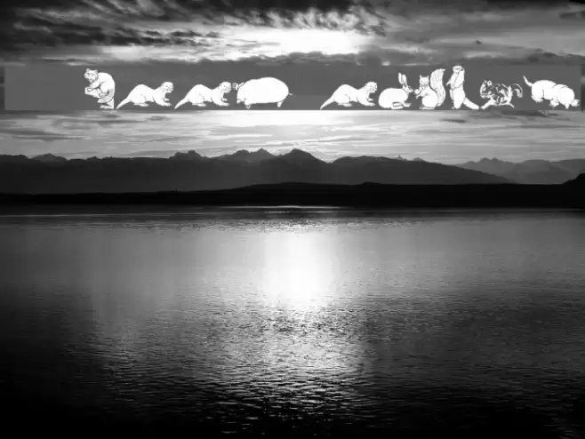 WWFurryFriends Font examples