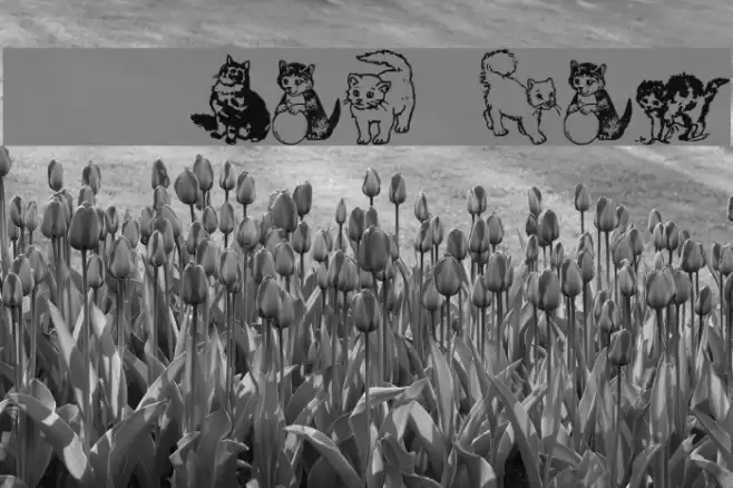 WWKuteKats Font examples