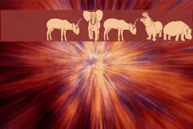 WWSafari Example 1