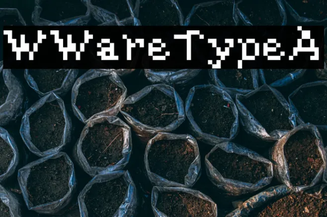 WWareTypeA Example 3