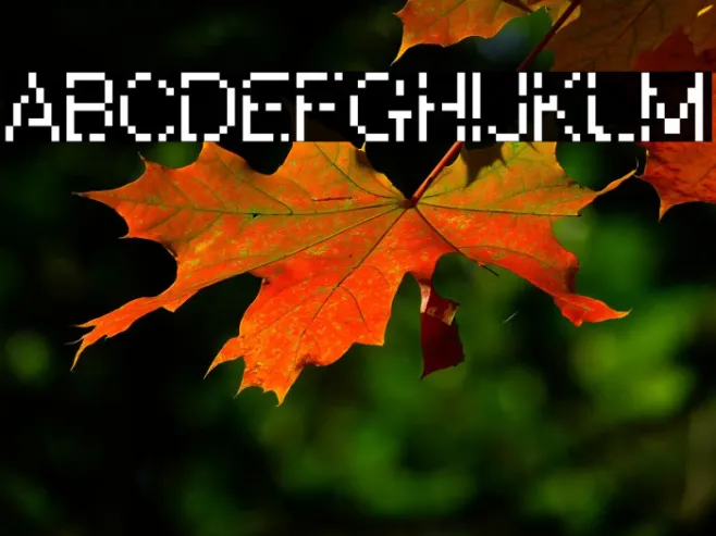 WWareTypeB Example 1