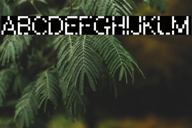WWareTypeB Example 2