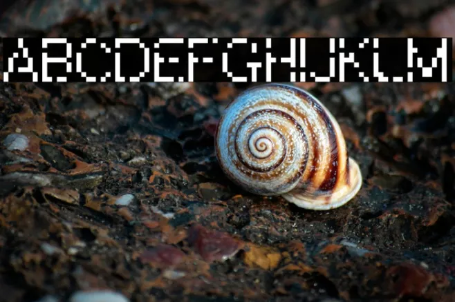 WWareTypeB Example 3