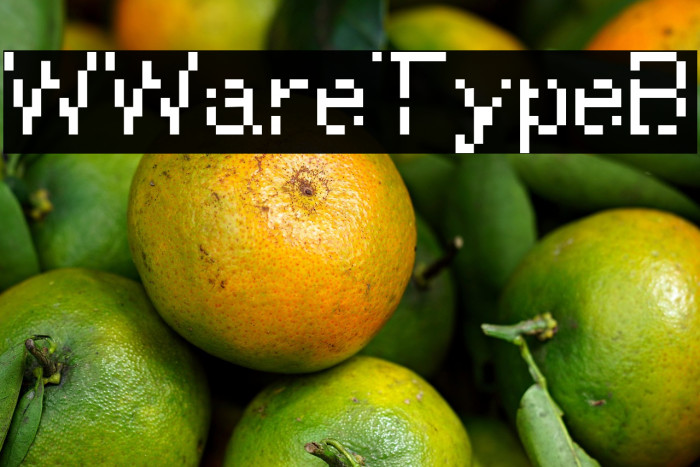 WWareTypeB Example 2