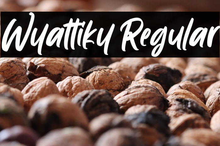 Wyattiky Regular Example 1