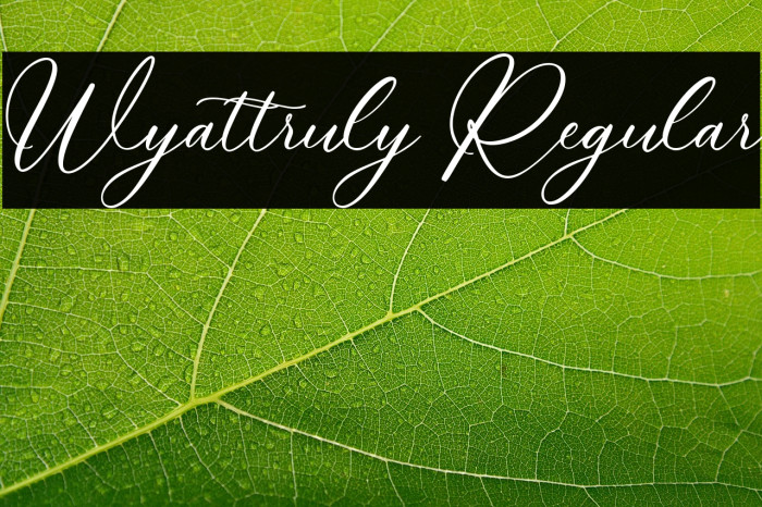 Wyattruly Regular Example 1