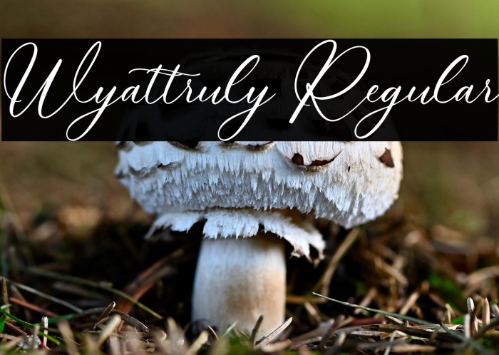 Wyattruly Regular Example 2