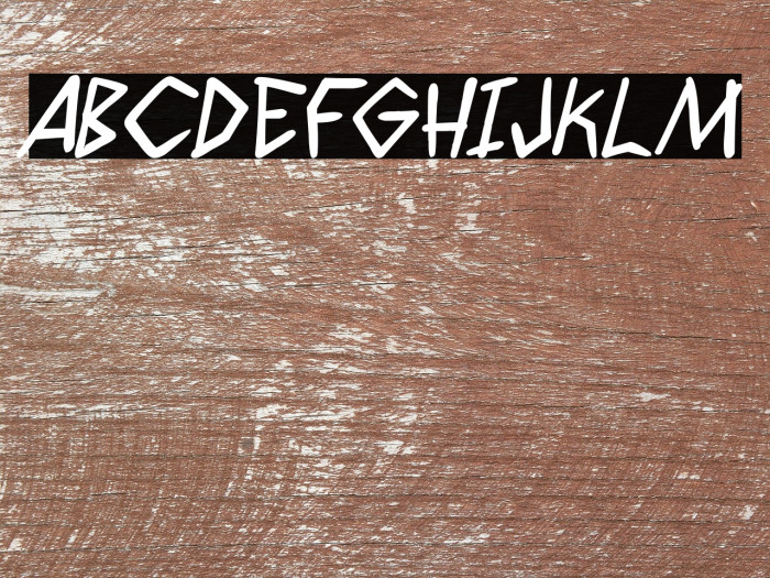 Wyld Savagez PG Bold Italic Example 1