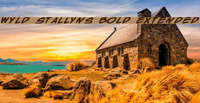 Wyld Stallyns Bold Extended Font examples